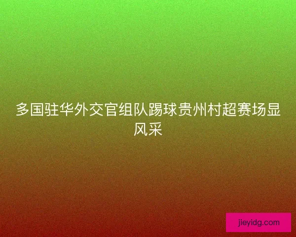多国驻华外交官组队踢球贵州村超赛场显风采